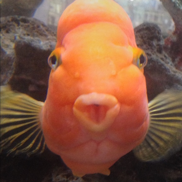 Please Read ☝️☝️☝️☝️☝️☝️☝️ - Picture 1 of 9